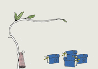 bergenassembly money production capital communism GIF