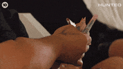 Huntedau GIF by Hunted Australia