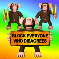 Social Media Block GIF