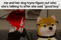 ZakkieVR vrchat good boy zakkievr good boy meme GIF