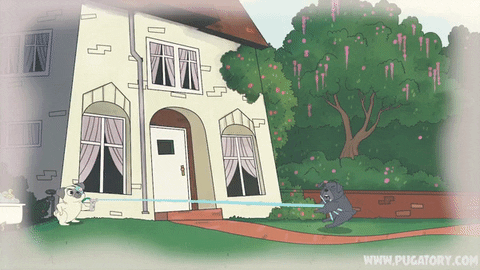 angry dogs GIF by Pugatory