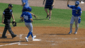 High Five Home Run GIF by Toronto Blue Jays