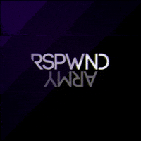 rspwnd gaming gamer videogames gamers GIF