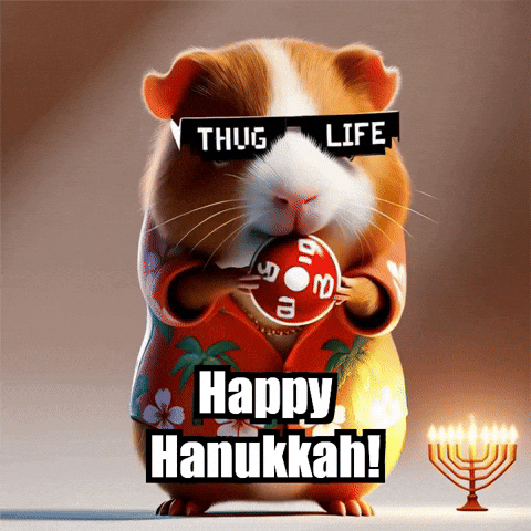 Guinea Pig Celebrations GIF by Guinea Gambino