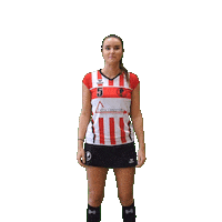 Korfbal Delft Sticker by Fortuna/Delta Logistiek