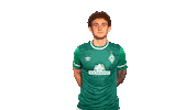 Josh Sargent Sticker by SV Werder Bremen