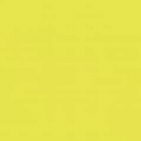 Pug Dog GIF