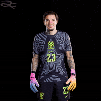 Fifa World Cup Brazil GIF by Respective