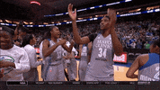 happy sylvia fowles GIF by WNBA