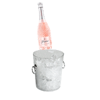 Ice Bottle Sticker by Freixenet