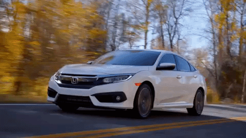 GIF by Central Coast Honda Dealers