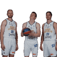 Kjeld Zuidema-Wietze Nossek-Tim Hoeve Donar 3Pt Celly Sticker by Donar Official