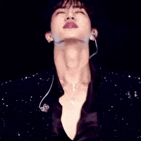 Concert Jin GIF