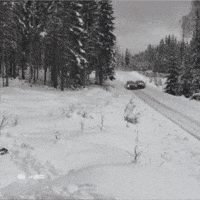 Take Over Snow GIF by FIA World Rally Championship