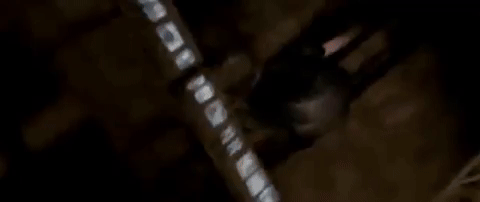 d4b123123r32513244 giphyupload GIF