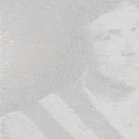 Chad Forte GIF