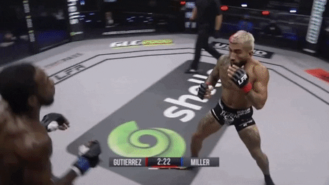 EdwardGallo1 giphyupload GIF