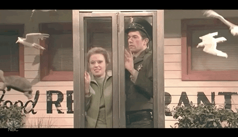 Snl GIF by Saturday Night Live
