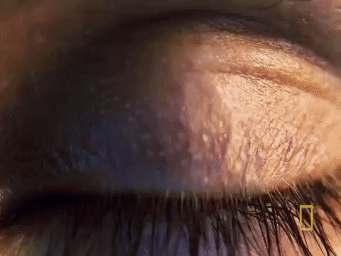 #origins #natgeo #cheatingdeath GIF by National Geographic Channel