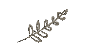 Plant Mix Sticker by zfr38
