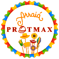 protmax festa junina arraia arraial bandeirinhas Sticker