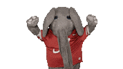 Crimson Tide Ua Sticker by The University of Alabama