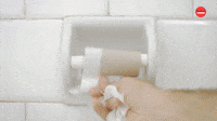 No Toilet Paper