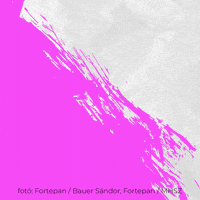 Cicik We Are Home GIF by Budapest Pride