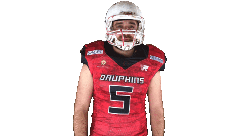 Football Love Sticker by Les Dauphins de Nice