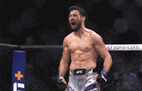 Fight Ufc GIF by promaslist
