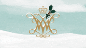Snow Winter GIF by William & Mary