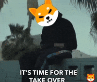 Shib Coin GIF by SHIB MEMES