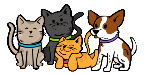 Cats And Dogs Pets Sticker by Weruva