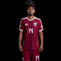 Fifa World Cup Qatar GIF by Respective