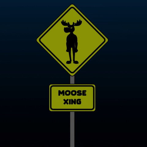 DoYouMoose walk web3 moose crossing GIF