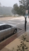 Storm Isaias Downpour Brings Flash Floods to Pennsylvania