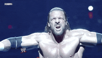 triple h wrestling GIF by WWE