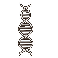 Handwriting Dna Sticker