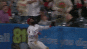 Los Angeles Angels Wow GIF by MLB