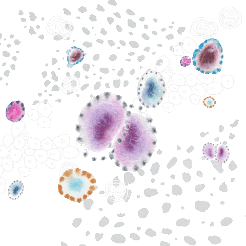 Water Corona Sticker