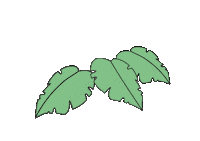 sprout20 sprout20 Sticker