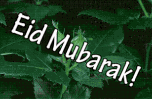 Eid Al Fitr GIF