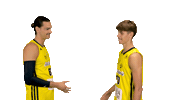 Basketball Celebration Sticker by Stade Rochelais