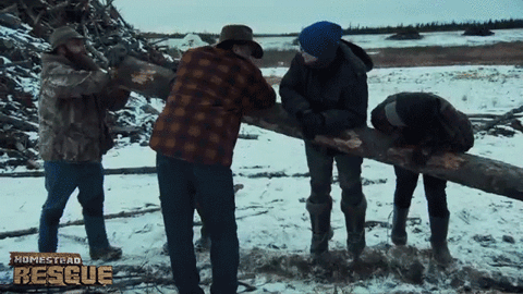 GIF by Discovery