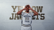Georgia Tech Adidas GIF by Georgia Tech Yellow Jackets