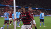 Western Sydney Wanderers Goal GIF by wswanderersfc