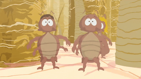 head bugs GIF by South Park 