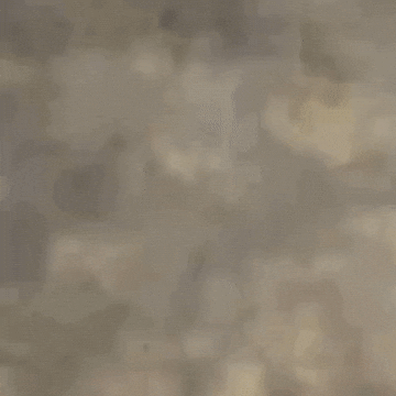 Black And White Film GIF