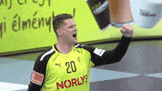 Handball Kevin GIF by EHF