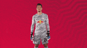 Come On Yes GIF by RB Leipzig